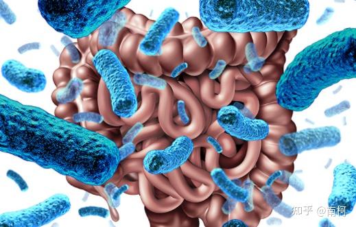 锌硒宝益生菌测评（益生菌锌的作用及功能）-硒宝网