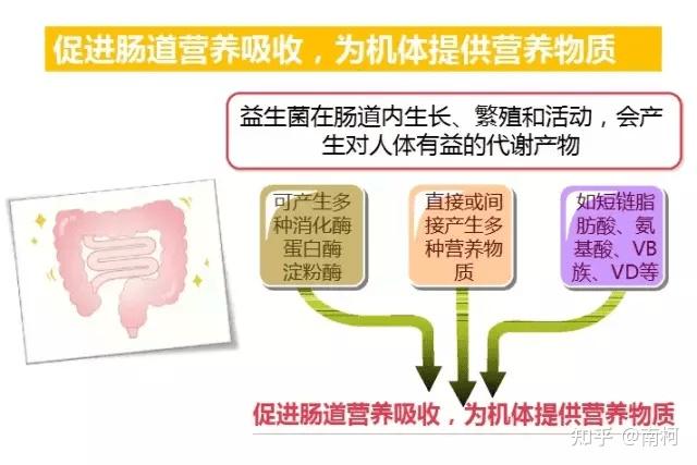 锌硒宝益生菌测评（益生菌锌的作用及功能）-硒宝网