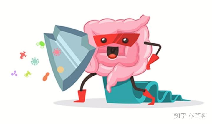 锌硒宝益生菌测评（益生菌锌的作用及功能）-硒宝网