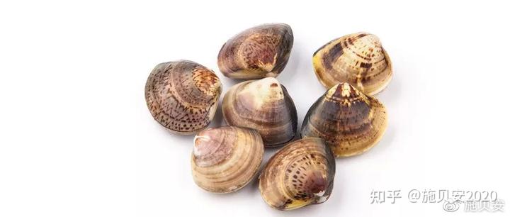 锌硒宝 宝宝补锌(锌硒宝宝宝吃了有什么效果)-硒宝网