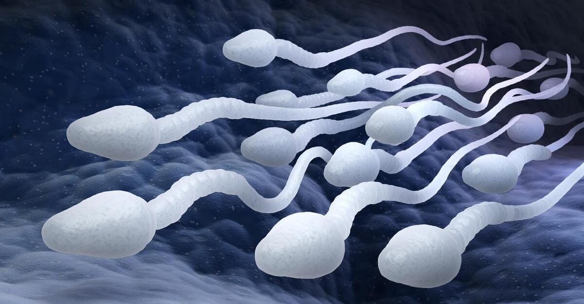 锌硒宝 精子质量(锌硒宝生精吗)-硒宝网