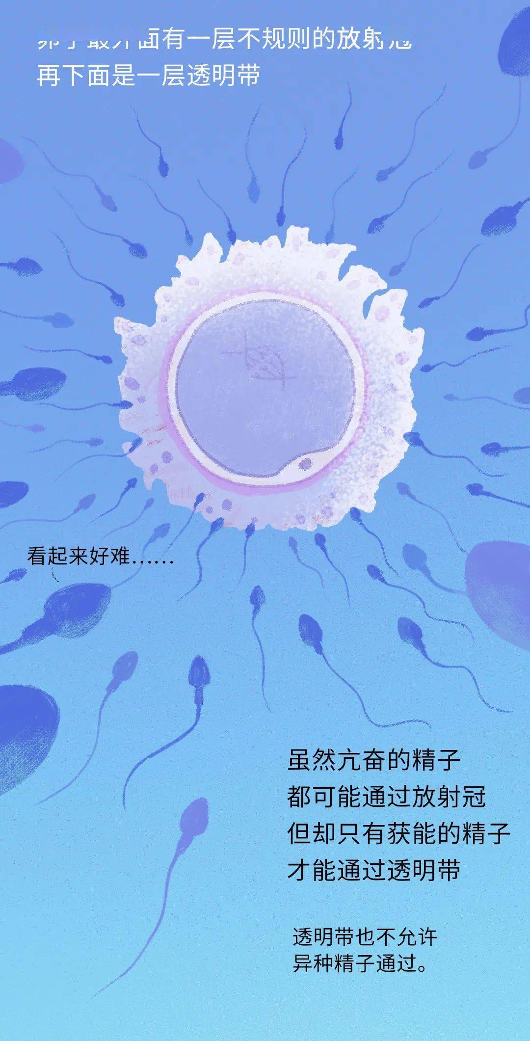 锌硒宝 精子质量(锌硒宝生精吗)-硒宝网