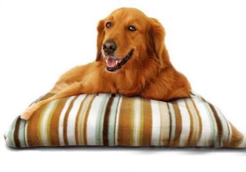 狗狗补钙吃什么(狗狗补钙吃钙片还是喝羊奶粉)-硒宝网