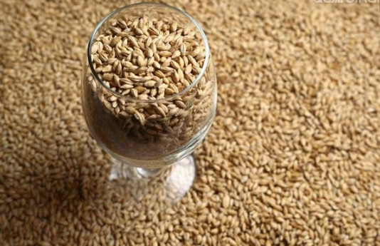 hpv有机锌硒宝(锌硒宝对人体的危害)-硒宝网