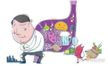 锌硒宝益生菌测评(锌+益生菌管什么的)-硒宝网