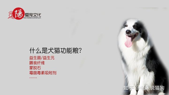 锌硒宝与硒酵母片（硒锌酵母片宝宝能吃吗）-硒宝网