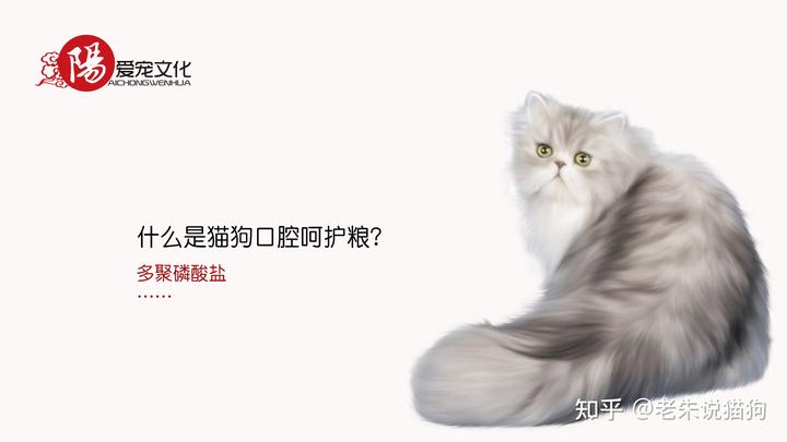 锌硒宝与硒酵母片（硒锌酵母片宝宝能吃吗）-硒宝网