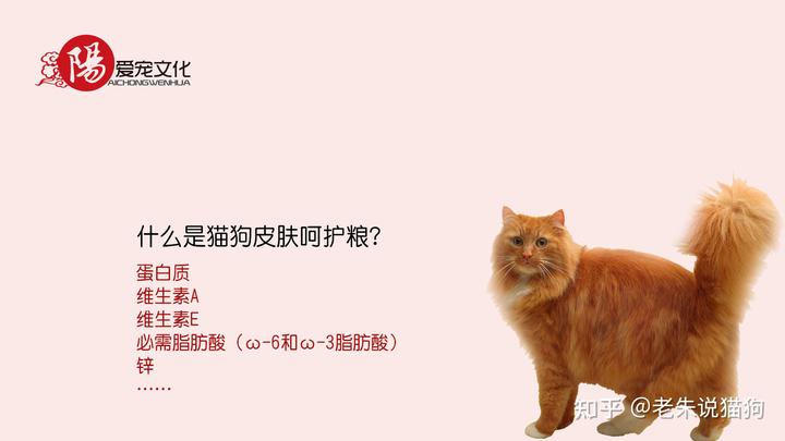 锌硒宝与硒酵母片（硒锌酵母片宝宝能吃吗）-硒宝网