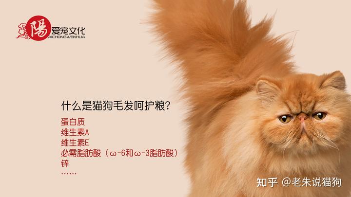 锌硒宝与硒酵母片（硒锌酵母片宝宝能吃吗）-硒宝网