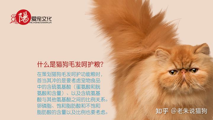 锌硒宝与硒酵母片（硒锌酵母片宝宝能吃吗）-硒宝网