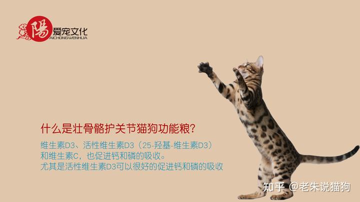 锌硒宝与硒酵母片（硒锌酵母片宝宝能吃吗）-硒宝网