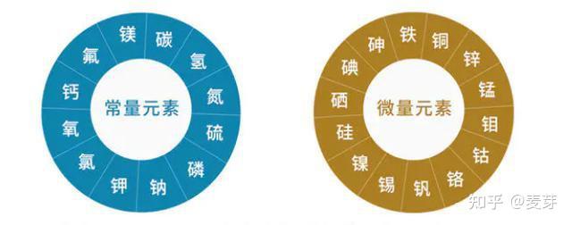 锌硒宝 宝宝补锌（儿童补锌硒宝）-硒宝网