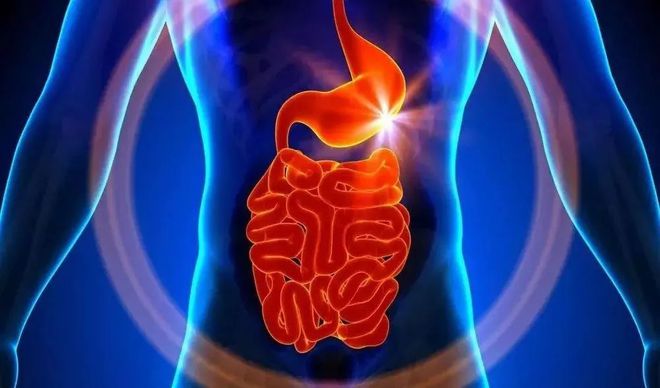 锌硒宝 OTC的(锌宝硒片)-硒宝网