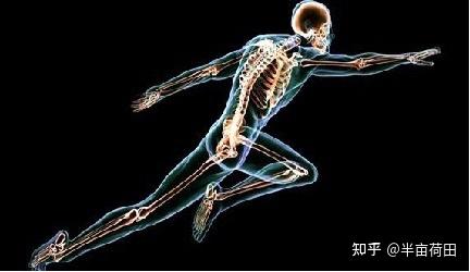 补钙片（补钙片哪个牌子好效果好）-硒宝网