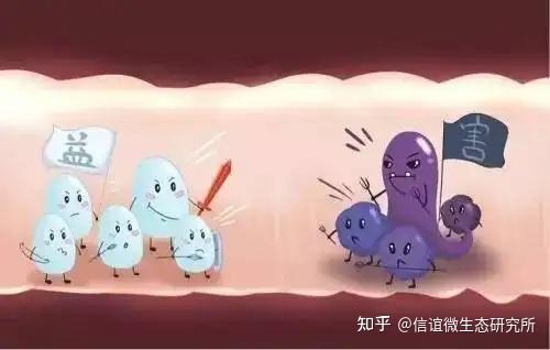 锌硒宝益生菌好吗（锌硒宝和益生菌能一起吃吗）-硒宝网