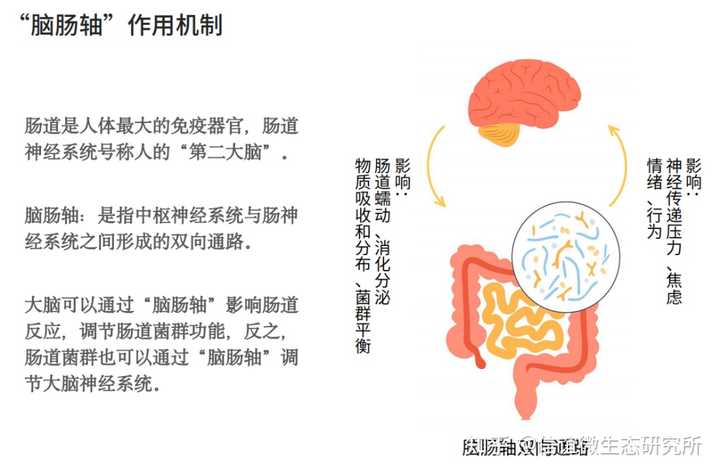 锌硒宝益生菌好吗（锌硒宝和益生菌能一起吃吗）-硒宝网