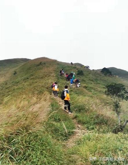 补钙片(补钙片的作用与功效)-硒宝网