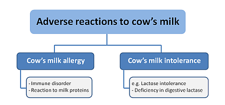 什么东西可以补钙（补钙东西可以一起吃吗）-硒宝网
