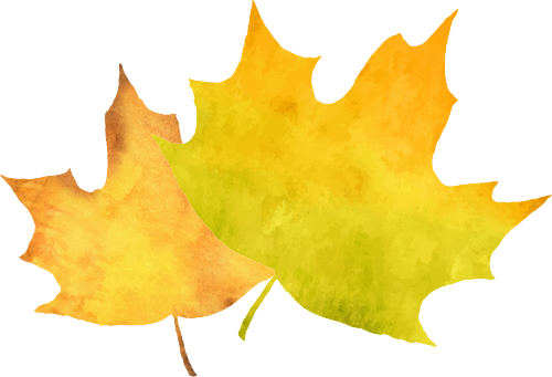 孕早期吃什么补钙（孕早期补钙吃什么食物最好最快）-硒宝网