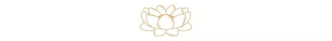 吃什么食物补铁(吃补铁的食物)-硒宝网