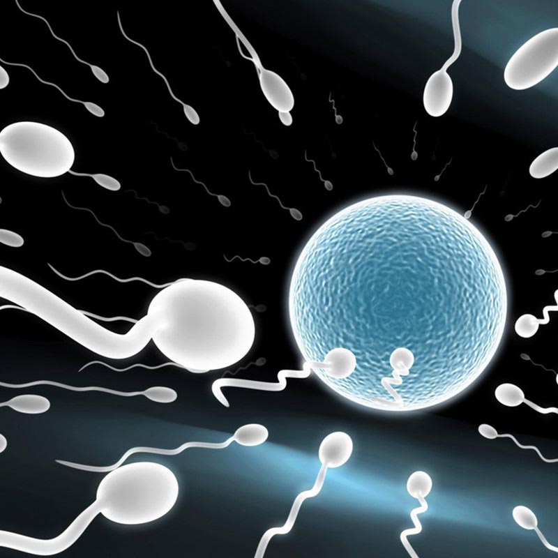 新稀宝锌硒宝用量(新稀宝牌锌硒宝片每片含锌)-硒宝网