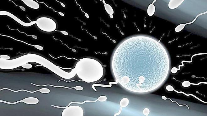 新稀宝锌硒宝用量(新稀宝牌锌硒宝片每片含锌)-硒宝网