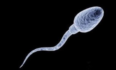 新稀宝锌硒宝用量(新稀宝牌锌硒宝片每片含锌)-硒宝网