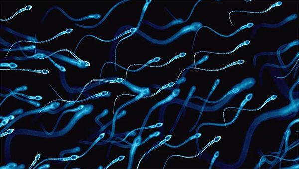 新稀宝锌硒宝用量(新稀宝牌锌硒宝片每片含锌)-硒宝网