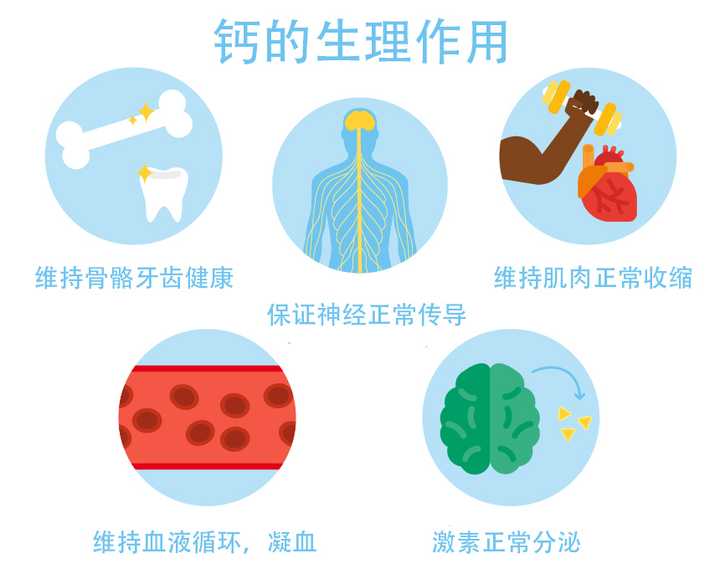 青少年补钙吃什么钙片好（青少年补钙吃什么钙片好）-硒宝网