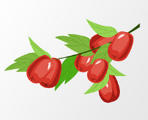 孕妇补铁剂十大名牌(孕妇补铁产品排行榜)-硒宝网