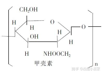 锌硒宝壳聚糖凝胶(锌硒宝压片糖果)-硒宝网