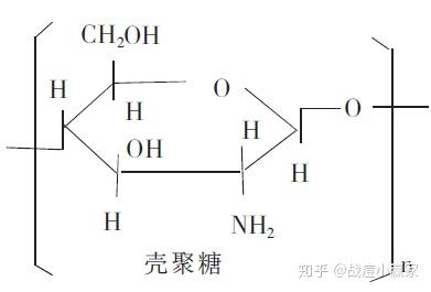 锌硒宝壳聚糖凝胶(锌硒宝压片糖果)-硒宝网