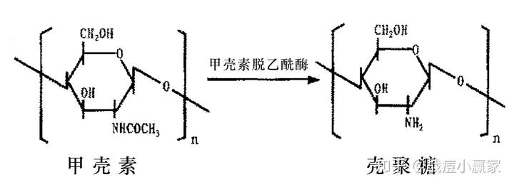 锌硒宝壳聚糖凝胶(锌硒宝压片糖果)-硒宝网