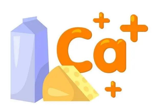 什么骨头汤最补钙(骨头汤补钙效果好吗)-硒宝网