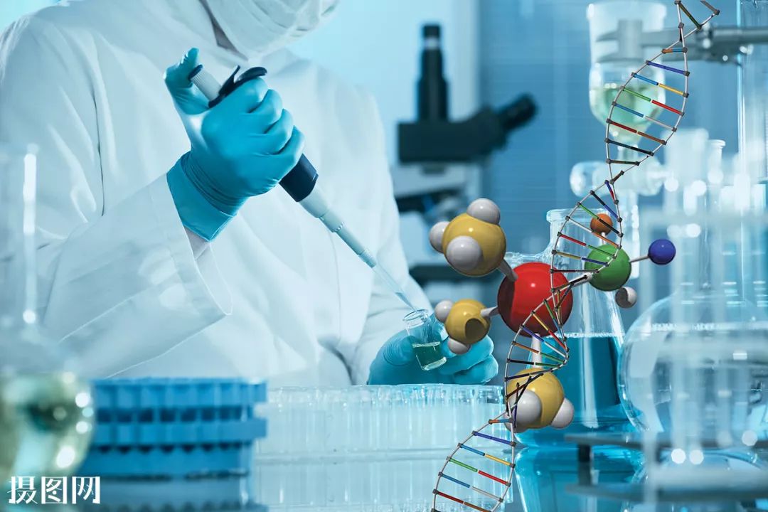 锌硒宝 药理作用(药用锌片价格)-硒宝网