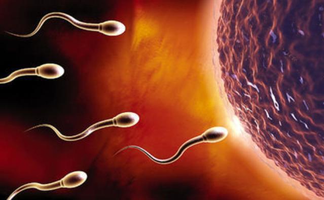 锌硒宝片调理精子(锌硒宝生精片)-硒宝网