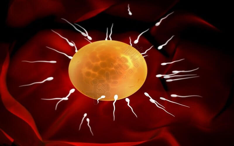 锌硒宝片调理精子(锌硒宝生精片)-硒宝网