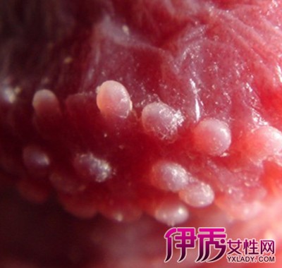 锌硒宝片调理精子(锌硒宝生精片)-硒宝网