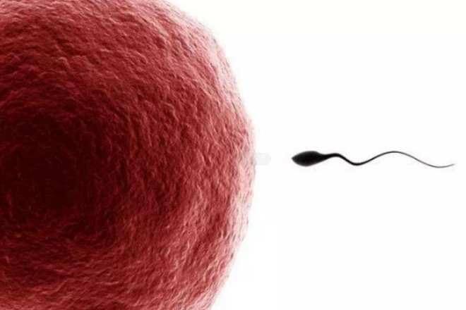 锌硒宝片调理精子(锌硒宝生精片)-硒宝网