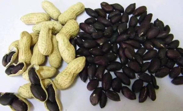 锌硒宝片误食过量（锌硒宝服用过量怎么办）-硒宝网