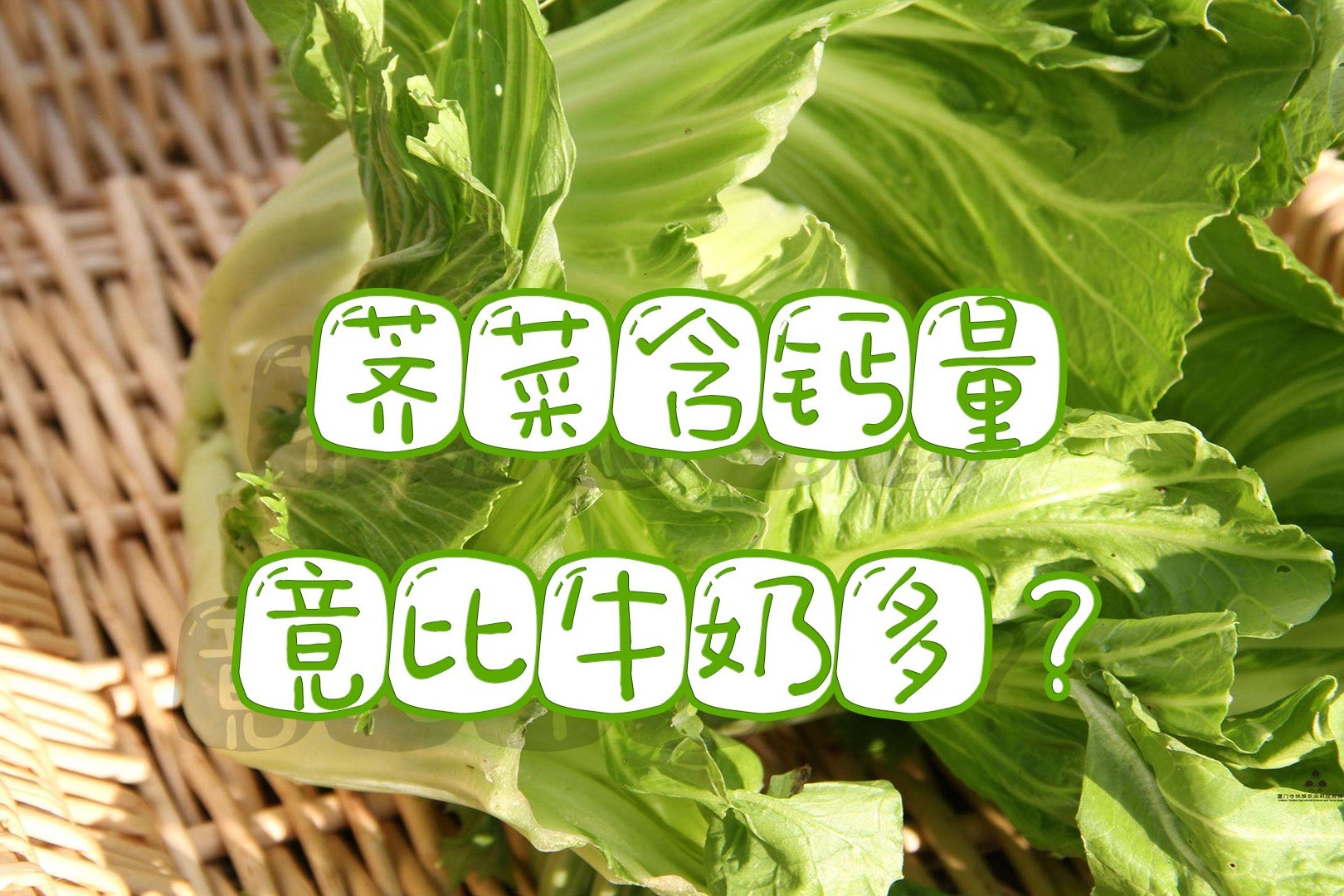 什么东西补钙最好（补充钙的东西）-硒宝网