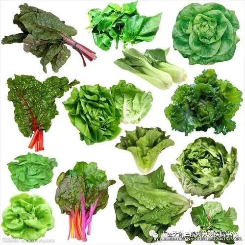 什么东西补钙最好（补充钙的东西）-硒宝网