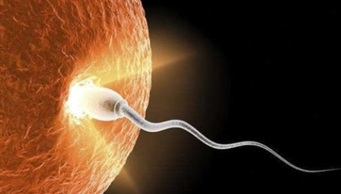 不育能吃锌硒宝吗(锌硒片宝宝能吃吗)-硒宝网