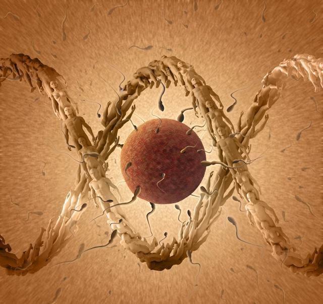 不育能吃锌硒宝吗(锌硒片宝宝能吃吗)-硒宝网