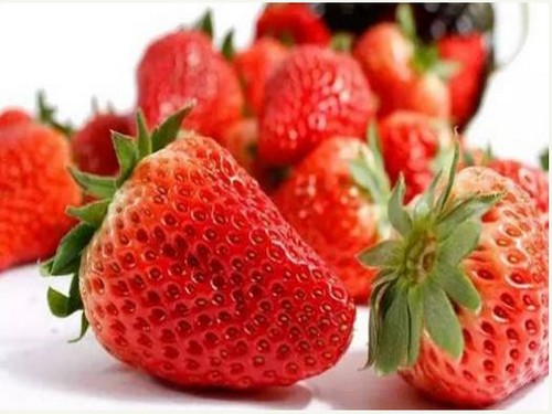 补铁补血的食物(补血补铁的食物)-硒宝网