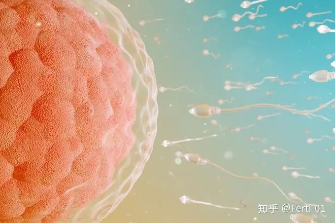 锌硒宝片 怎么吃(锌硒宝片可以吞服吗)-硒宝网