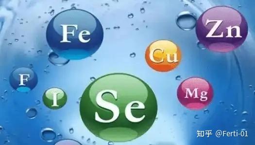 锌硒宝片 怎么吃(锌硒宝片可以吞服吗)-硒宝网