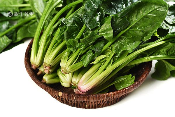 孕妇吃什么食物补钙(孕妇食补钙吃什么最好)-硒宝网