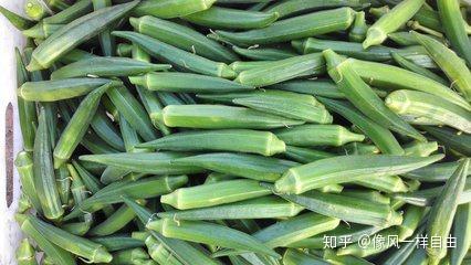 锌硒宝老人吃好吗(老年人补锌和硒的好处)-硒宝网