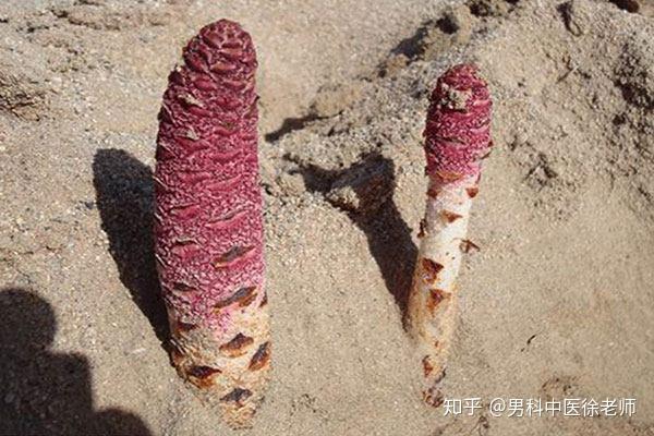 男人长期吃锌硒宝(男人吃锌硒宝生男孩吗)-硒宝网